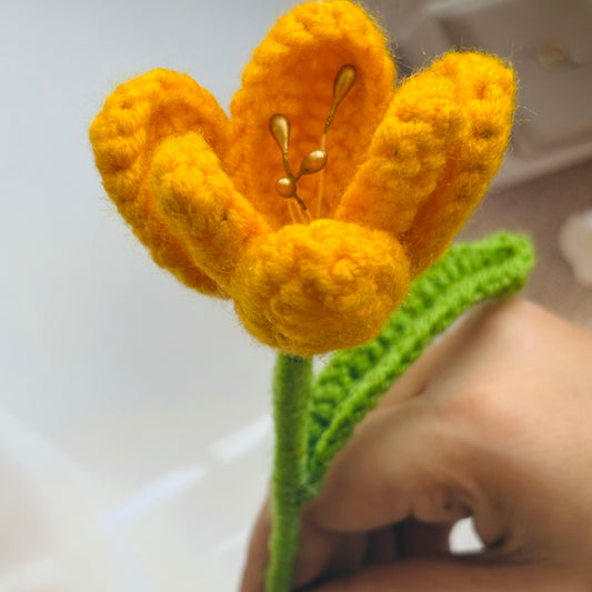 Open Tulip