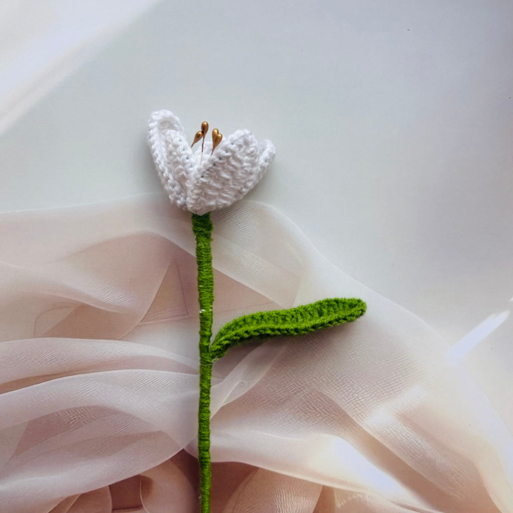 Open Tulip