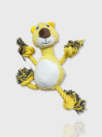 Bear Plush with Rope Toy
