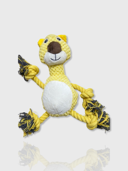 Bear Plush with Rope Toy
